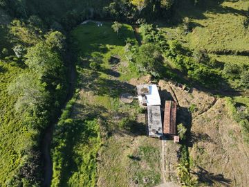 VENDO FINCA DE TRABAJO EN AMALFI ANTIOQUIA.