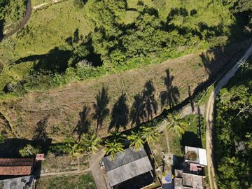 VENDO FINCA DE TRABAJO EN AMALFI ANTIOQUIA.