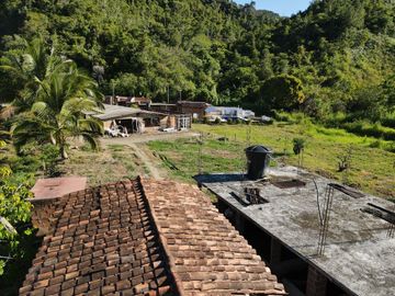 VENDO FINCA DE TRABAJO EN AMALFI ANTIOQUIA.