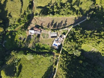 VENDO FINCA DE TRABAJO EN AMALFI ANTIOQUIA.