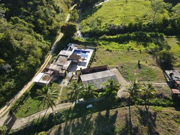 VENDO FINCA DE TRABAJO EN AMALFI ANTIOQUIA.
