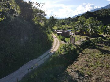 VENDO FINCA DE TRABAJO EN AMALFI ANTIOQUIA.