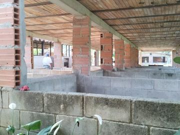 VENDO FINCA DE TRABAJO EN AMALFI ANTIOQUIA.