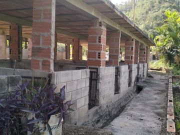 VENDO FINCA DE TRABAJO EN AMALFI ANTIOQUIA.