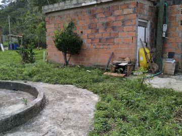 VENDO FINCA DE TRABAJO EN AMALFI ANTIOQUIA.