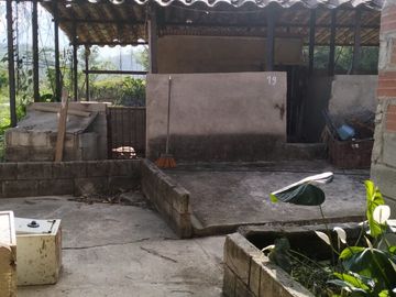 VENDO FINCA DE TRABAJO EN AMALFI ANTIOQUIA.