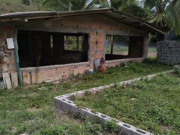 VENDO FINCA DE TRABAJO EN AMALFI ANTIOQUIA.