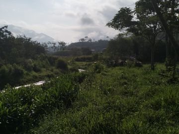 VENDO FINCA DE TRABAJO EN AMALFI ANTIOQUIA.