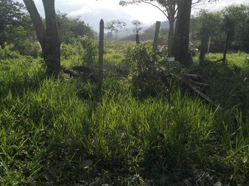 VENDO FINCA DE TRABAJO EN AMALFI ANTIOQUIA.