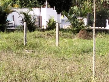 VENDO FINCA DE TRABAJO EN AMALFI ANTIOQUIA.