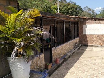 VENDO FINCA DE TRABAJO EN AMALFI ANTIOQUIA.