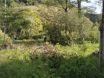VENDO FINCA DE TRABAJO EN AMALFI ANTIOQUIA.