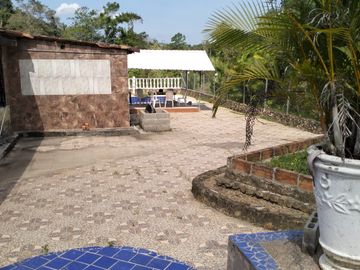 VENDO FINCA DE TRABAJO EN AMALFI ANTIOQUIA.