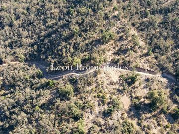 Leon propiedades vende parcelas en sector La Aurora, parcelación Princesa Sofia, Curacavi.