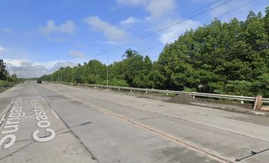 Commercial/Industrial/Residential Lot For Sale in Tagum Davao Del Norte 36 Has