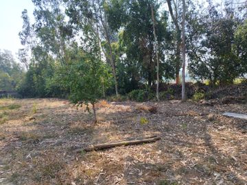 Se vende 3.238 m2 con casa de 4 dormitorios en Quinamavida, Colbun