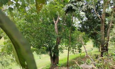320sqm and 326sqm Fairway Lot For Sale in Sun Valley Estate, Antipolo, Rizal.
