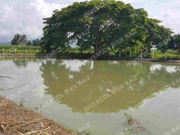 LA VICTORIA, SE VENDE HERMOSA FINCA A PUERTA CERRADA