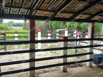 LA VICTORIA, SE VENDE HERMOSA FINCA A PUERTA CERRADA