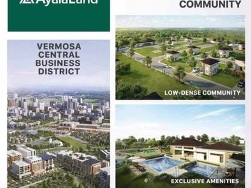 Parklane Settings Vermosa House and Lot