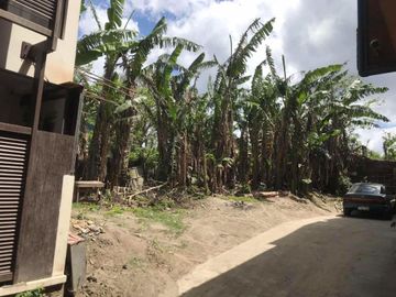 Commercial Lot for Sale  along Tagaytay-Calamba Road