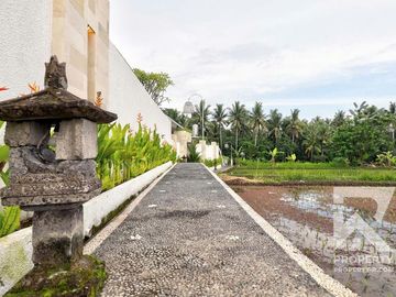 Spacous 3 Bedroom Villa with Ricefield View in Ubud Bali for Sale Leasehold