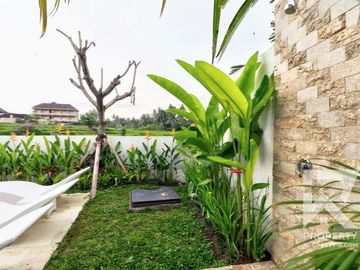 Spacous 3 Bedroom Villa with Ricefield View in Ubud Bali for Sale Leasehold