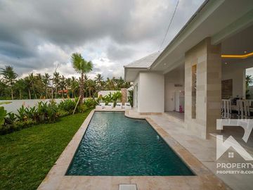 Spacous 3 Bedroom Villa with Ricefield View in Ubud Bali for Sale Leasehold