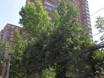 Vende Departamento Cuatro Dormitorios Estacionamientos