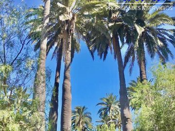 Se Vende Fabulosa Parcela Parque Oasis La Campana
