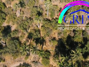Se Vende Fabulosa Parcela Parque Oasis La Campana