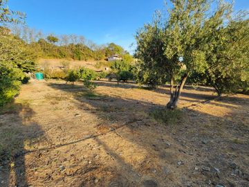 Olmué, Casa en Parcela, 4 dormitorios, piscina, frutales