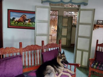 SE VENDE CASA DE 267 m2 EN EL BARRIO SANTA BARBARA, PURIFICACIÓN, TOLIMA