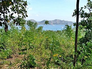 Dijual Tanah Lombok NTB Kabupaten Lombok Barat Desa Labuan Tereng