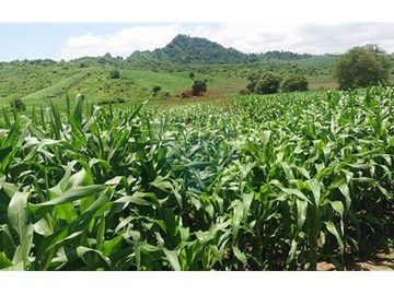 Finca De Venta En Lodana Santa Ana Manabí
