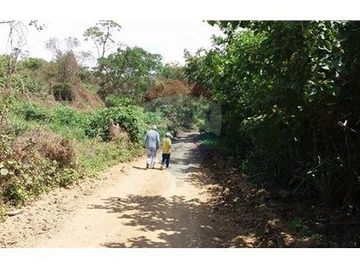 Finca De Venta En Lodana Santa Ana Manabí