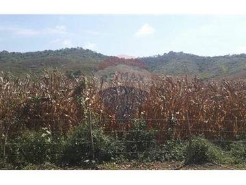 Finca De Venta En Lodana Santa Ana Manabí