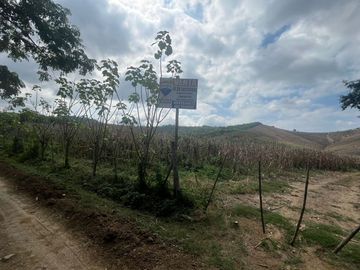 Finca De Venta En Lodana Santa Ana Manabí