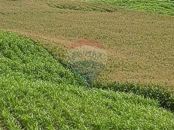 Finca De Venta En Lodana Santa Ana Manabí