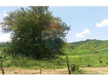 Finca De Venta En Lodana Santa Ana Manabí