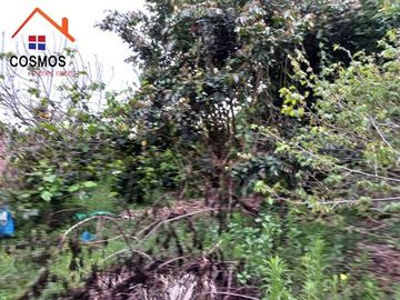Casa con terreno de venta en Cotacachi