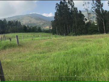 VENDO 15 hectáreas en el mejor sector de Tumbaco