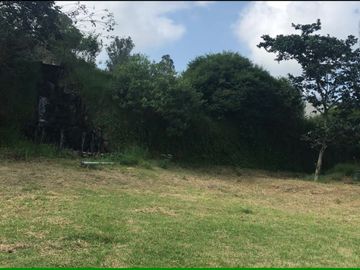 VENDO 15 hectáreas en el mejor sector de Tumbaco