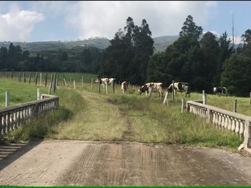 VENDO 15 hectáreas en el mejor sector de Tumbaco