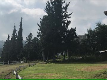 VENDO 15 hectáreas en el mejor sector de Tumbaco