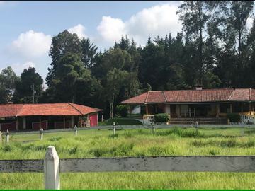 VENDO 15 hectáreas en el mejor sector de Tumbaco