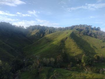Venta Finca Ganadera Concepción Antioquia