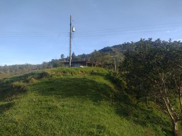 Venta Finca Ganadera Concepción Antioquia