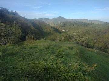 Venta Finca Ganadera Concepción Antioquia