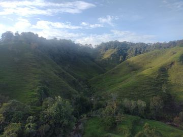 Venta Finca Ganadera Concepción Antioquia